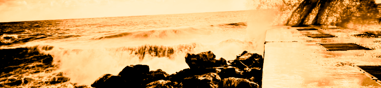 Danaé sur le rivage